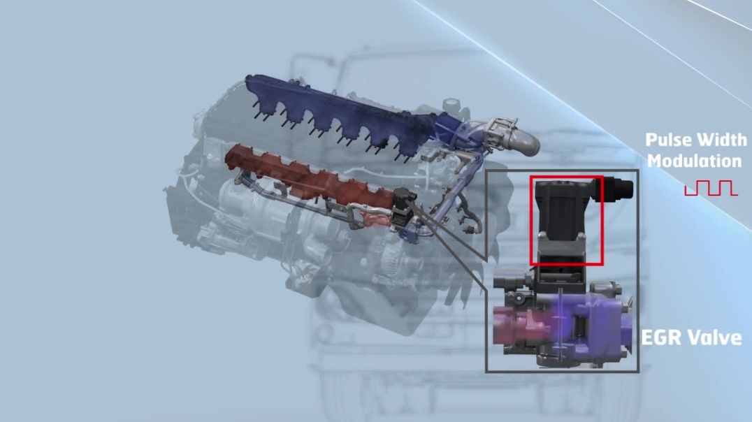 ⁣EGR Valve - Electrical Circuit