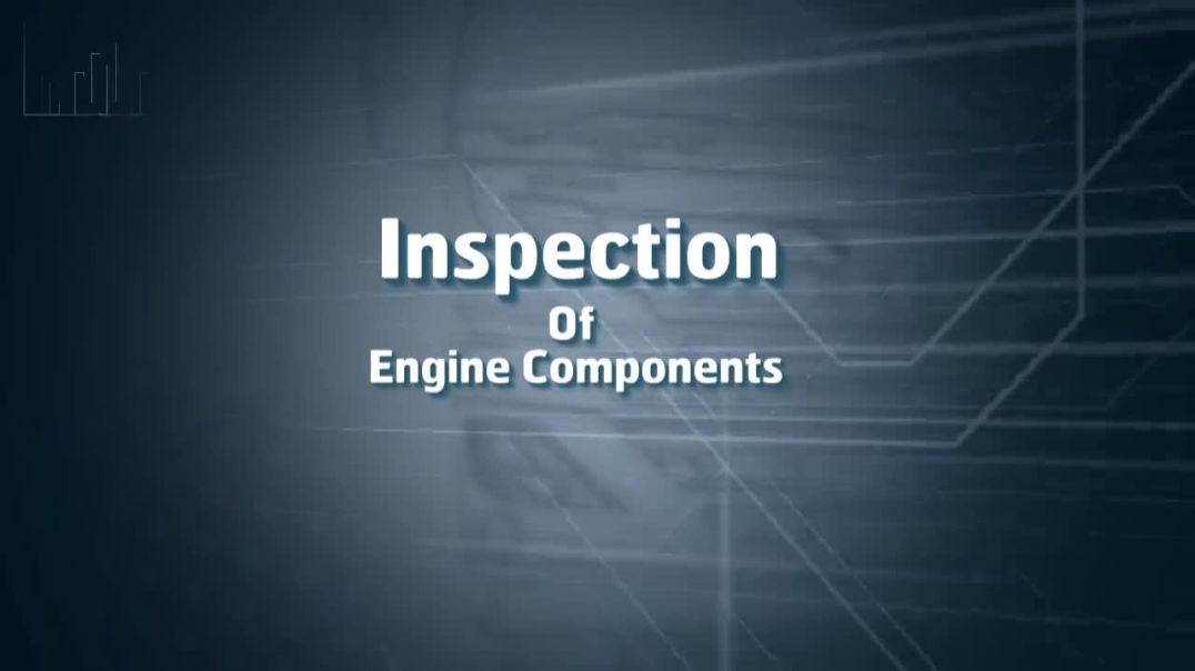 ⁣VEDX Inspection English